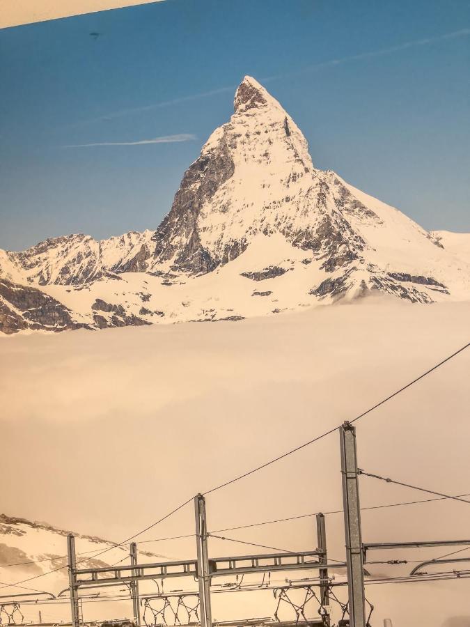 Bernkogel - In Out Saalbach-Hinterglemm